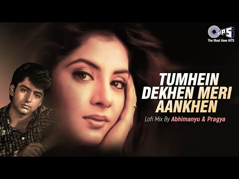 Tumhein Dekhen Meri Aankhen - Lofi Mix | Rang | Divya Bharti | Alka Yagnik, Kumar Sanu | Hindi Lofi