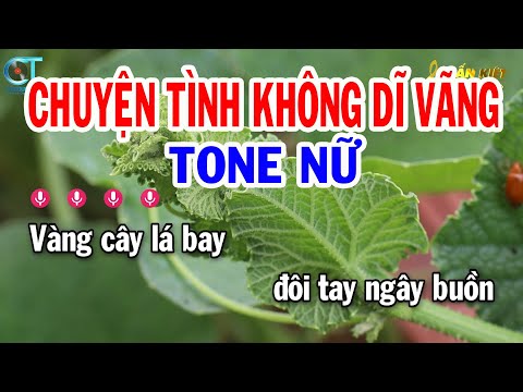 Karaoke Chuyện Tình Không Dĩ Vãng Tone Nữ ( Bm ) Nhạc Sống Tuấn Kiệt