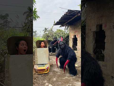 2 Ferocious Gorilla Monsters Attack Beautiful Brave Girl