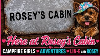 STORM CLEANUP & DIY MINIVAN CAMPER SNEEK PEEK @Campfiregirls