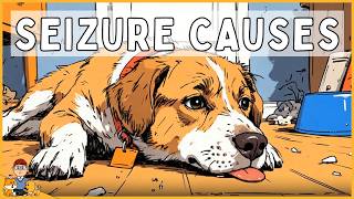 The 7 Causes of Seizures in Dogs (vet notes)