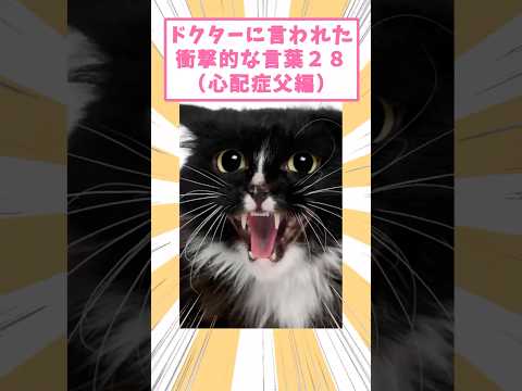 ドクターに言われた衝撃的な言葉28(心配症父編) #猫 #猫のいる暮らし #猫動画 #ねこ #可愛い #ペット #かわいい #2ch