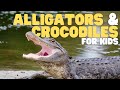 Alligator and Crocodile Knowledge Test