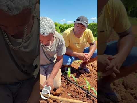 #agro