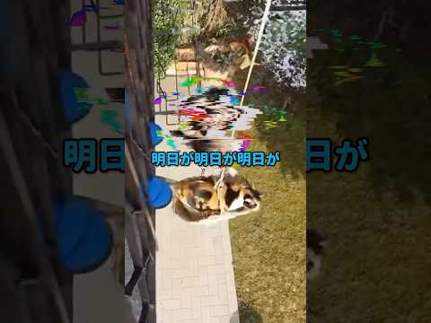 今動画を見てる皆様限定の広告です。
