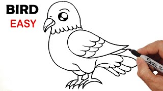 HOW TO DRAW A BIRD - STEP BY STEP BIRD DRAWING