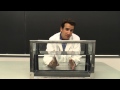 Polarization of Light Concepts