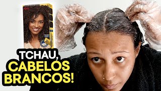 PINTEI MEUS CABELOS BRANCOS