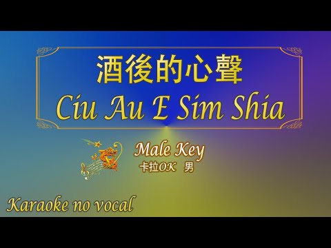 酒後的心聲 【卡拉OK (男)】[Hokkien]《KTV KARAOKE》 – Ciu Au E Sim Shia (Male)