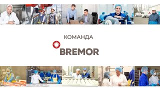 Проект "Команда BREMOR" Минич Дмитрий
