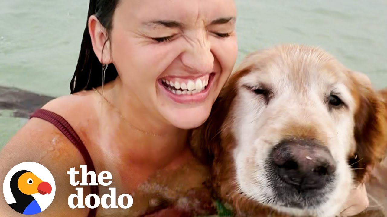 Woman's Had Her Soul Dog Since She Was 15 - The Dodo