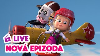 🔴 LIVE! Máša a Medvěd 🐻👧 NOVÁ EPIZODA 💥 Kdo je tu šéf? 🐼🙋🏼‍♀️🐧 Masha and the Bear