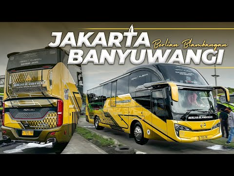 PENDATANG BARU JAKARTA BANYUWANGI, BEGINI SERVICE NYA ‼️ Berlian Blambangan Skylander