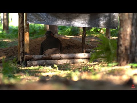 Bushcraft Cabin buldin from start to finish. 3 day alone in the woods.Skills.Fox near me