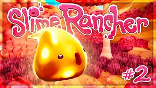 HO TROVATO il GOLD SLIME?! | Slime Rancher #2