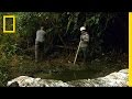 Environmental Impact of Mining Practices