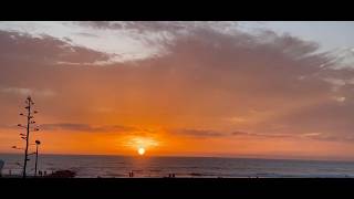 Ocean Beach Living is live!