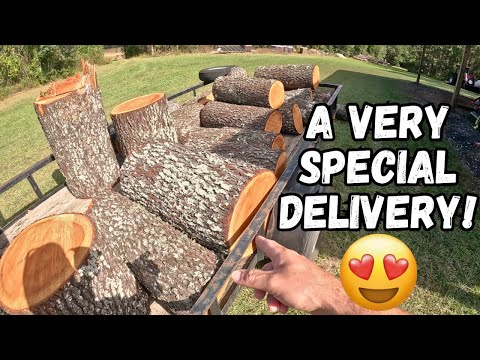 A Very Special Delivery!