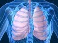 Functions of the Respiratory System