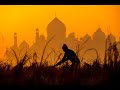Space Debris, Indian Politics, and Wildlife Conservation