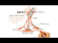Understanding Earthquakes and Plate Tectonics