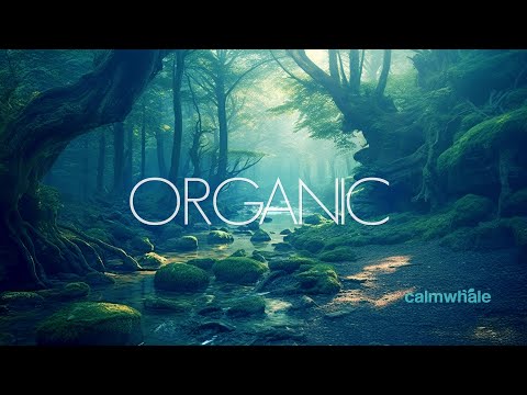 Organic Connection - Peaceful Flow - Shaman Drum - Deep Slow Breathing