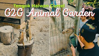 Kenapa Korang Kena Bawa Family ke G2G Animal Garden MAEPS! Lihat Capybara & Haiwan Comel Di Sini