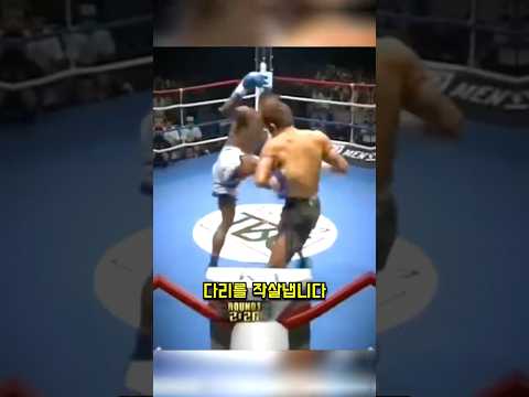 역대급 반칙으로 상대의 다리를 작살낸 파이터의 최후