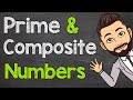Exploring Prime and Composite Numbers