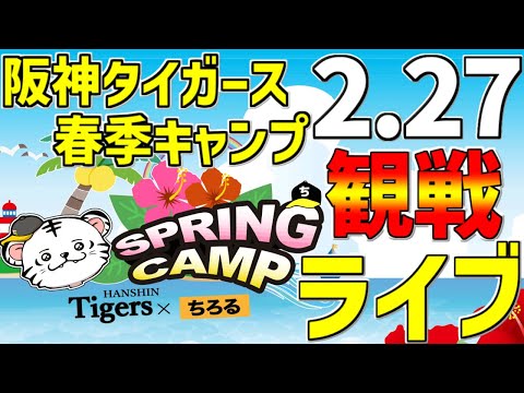 【 阪神春季キャンプ最終日 】 2/27 阪神タイガース 沖縄キャンプ 2024 一緒に観戦ライブ #阪神ライブ #タイガースライブ #ライブ ＃キャンプ #沖縄ライブ ＃前川右京 ＃岡留英貴