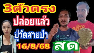 ปู่วัดสายป่า ปล่อยแล้ว3ตัว พี่บ่าว 16/8/68