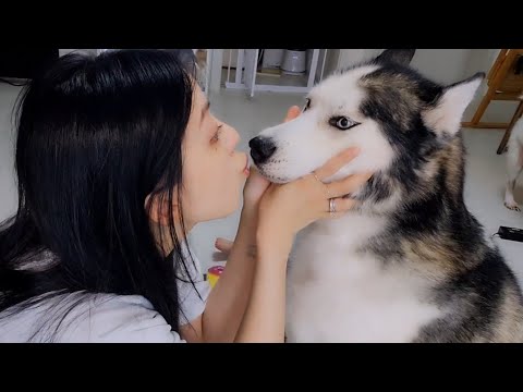 견생난이도가 올라갔습니다