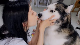 견생난이도가 올라갔습니다