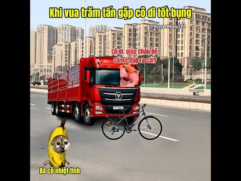 Khi vua trăm tấn gặp cô dì tốt bụng #meme #catmeme