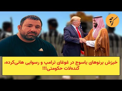 خیزش برنوهای یاسوج در غوغای ترامپ و رسوایی هانی‌کرده، گنده‌لات حکومتی!!!