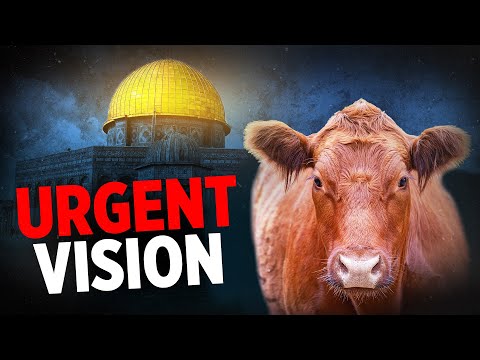 I Saw Israel's Shaking & the Red Heifer [End-Time Vision]