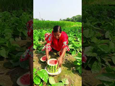 #reels #shortvideo #funny #foryou #india