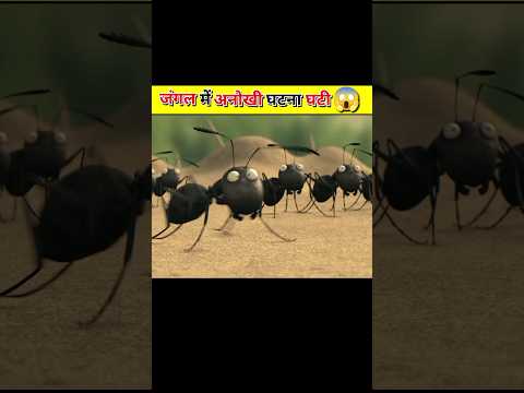 जंगल में अनोखी घटना घटी ? || लाल चींटियों ने काली के महल पर हमला किया ? #shorts #viral