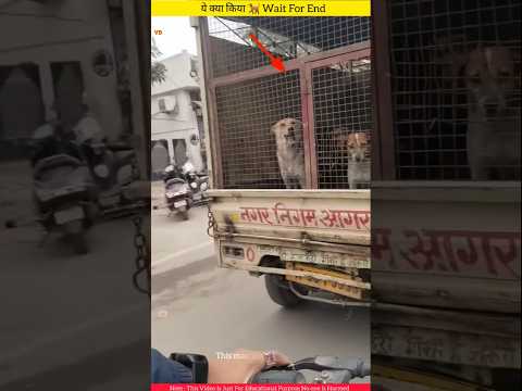 कुत्तों 🐕 को खुला छोड़ने की गलती 😱 #shorts