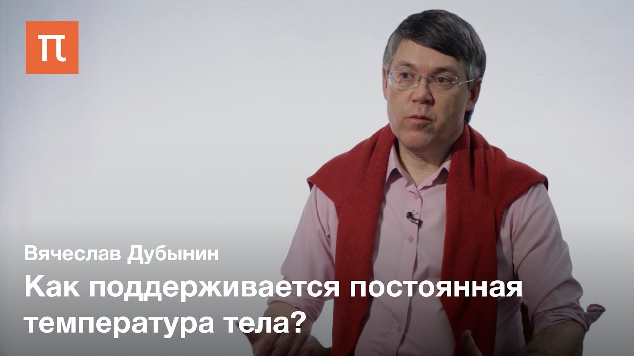 Внутренняя чувствительность - Вячеслав Дубынин