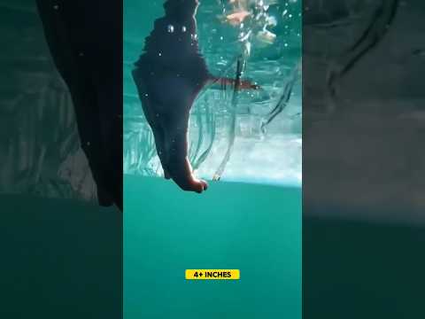 Test Before Skating In Ice 🤯