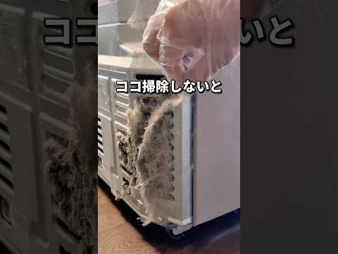 【冷蔵庫の〇〇　ちゃんと掃除しないと壊れるかも！！】