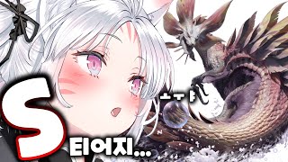 타마미츠네는 못참지.... 몬스터헌터 티어정하기!