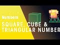 Understanding Square, Cube, and Triangular Numbers
