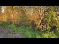 Weathering, Erosion, and Ecosystems