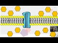 Passive and Active Transport Explained
