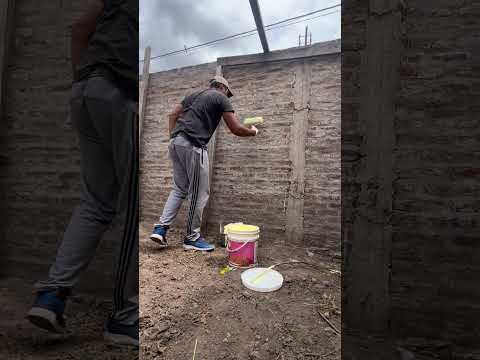 ¡A los perros no le gustan los therians!