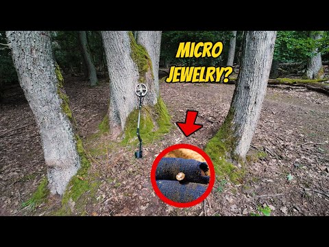 When Boars Leave Finds Behind… Metal Detecting with Micro Jewelry in the Woods!