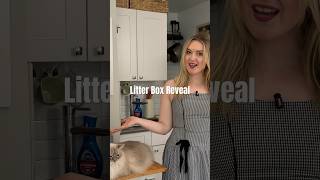 #catlady #cat #litterbox