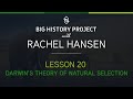 Darwin's Studies and Adaptations
